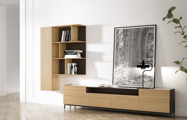 Composición mueble tv + módulos colgados CL05...